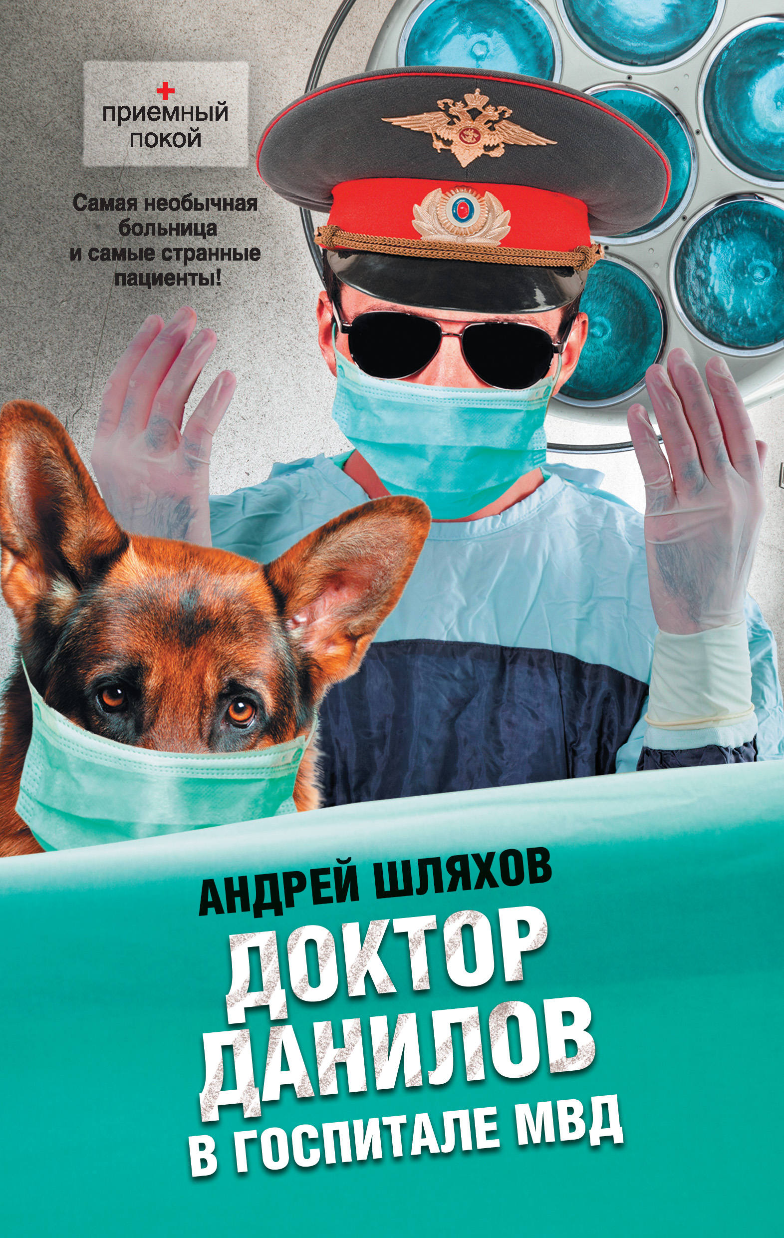 Доктор Данилов в госпитале МВД читать онлайн